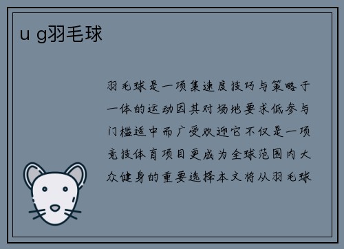 u g羽毛球