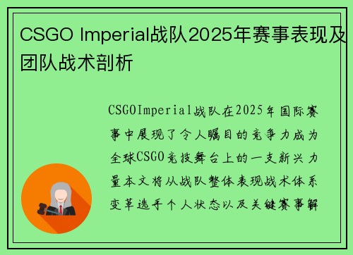 CSGO Imperial战队2025年赛事表现及团队战术剖析